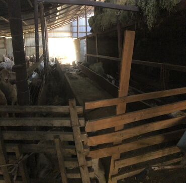 Продажа домов: Дом, 73 м², 3 комнаты, Собственник — 9