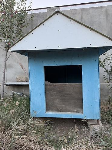 İt evi – taxta konstruksiyalı, ikitərəfli maili damlı - Material