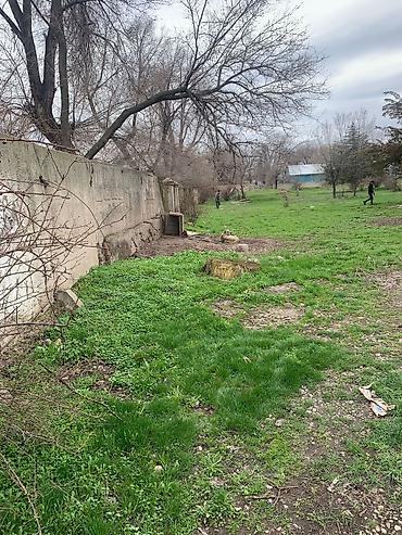 Продажа участков: 90 соток, Для бизнеса, Красная книга — 3