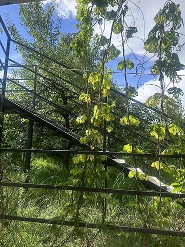 Недвижимость: Сдается уютный номер в гостевом доме. Планировка и спальные места — 9