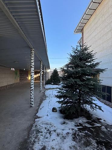 Продажа коттеджей и домов: 🏡 Продаётся двухэтажный дом — отличный вариант для жизни и бизнеса! ✨ — 20