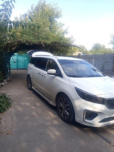 подсветка салона автомобиля: Kia Carnival: 2018 г., 2.2 л, Автомат, Дизель, Минивэн — 7