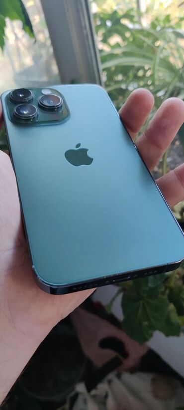 Apple iPhone: Apple iPhone iPhone 13 Pro, Alpine Green, Face ID — 6