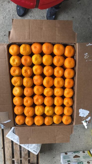 24 кг: Продам оптом мандарины 2002 год есть в наличии 40 тонн фасовка в ящике