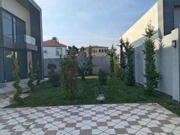 Şitillər: Hər növ hazır Qazonun yerində satışı və ünvana çatdırılması