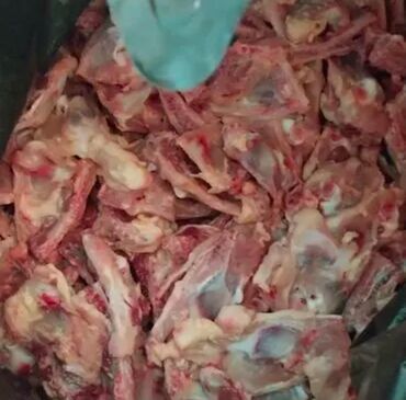 Mini: Mini : 1.4 l | 2006 il 285000 km Van/Minivan — 11