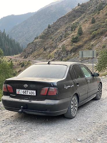 tayota progres: Nissan Primera: 2000 г., 1.8 л, Механика, Бензин, Седан — 1