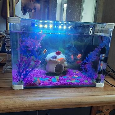 100 l akvarium: Tam komplekt akvarium dəsti - Şəffaf şüşə akvarium, düzbucaqlı forma — 1