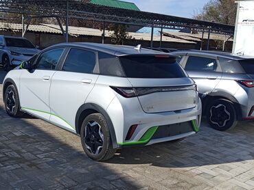 авто спорт: BYD Dolphin: 2023 г., 0.1 л, Автомат, Электромобиль, Хэтчбэк