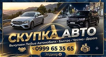 авто масла: Скупка авто - Выкупаем любые автомобили. - Быстро, честно, дорого. - — 4
