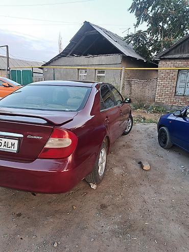 камбой: Toyota Camry: 2002 г., 2.4 л, Автомат, Бензин, Седан — 3