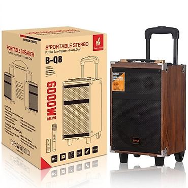 ace pro: Портативная акустическая система BAAB B-Q8 (8" Portable Stereo) - — 1