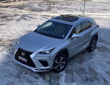 желтый lexus: Lexus NX: 2019 г., 2 л, Автомат, Бензин, Кроссовер