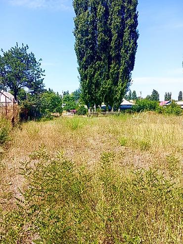 черная речка: Продаётся жилой дом с приусадебным участком. - Одноэтажный дом из — 7