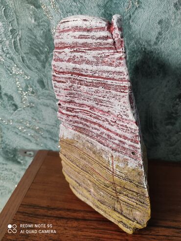 Аквариумы: Водоросли живые: Анубиас Бартера нана ( цветёт белыми и розовыми — 17