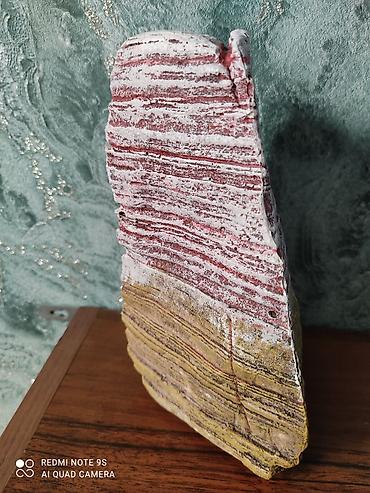 Аквариумы: Водоросли живые: Анубиас Бартера, нана ( цветут белыми и розовыми — 14