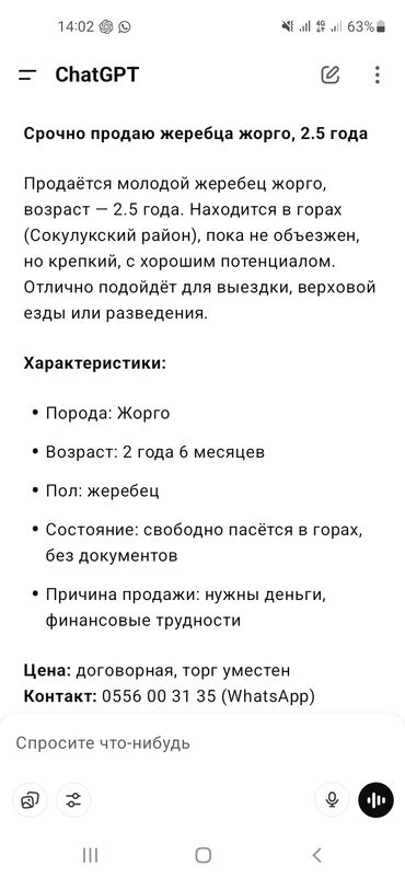 амуниция для лошадей: Продаю | Жеребец | Кара Жорго | Для разведения, Конный спорт | Осеменитель, Мерин