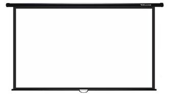 большой экран: 🖼 Проекционный экран Deluxe DLS-M300x180W | Настенный / Потолочный