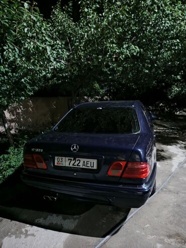 шыны 12: Mercedes-Benz E-Class: 1996 г., 4.2 л, Автомат, Газ, Седан