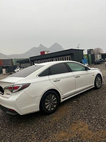 киа k8: Hyundai Sonata: 2015 г., 2 л, Типтроник, Гибрид, Седан — 6
