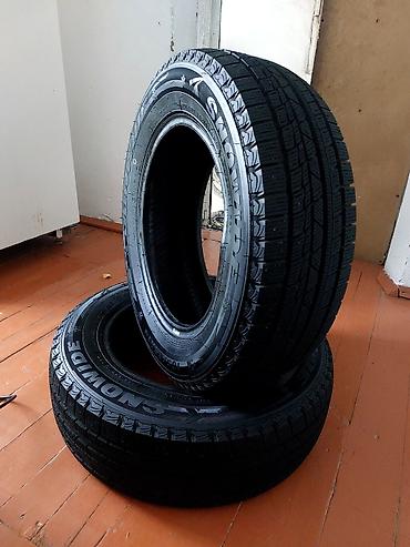 Шины 185 / 65 / R 14, Зима, Новый, Пара, Легковые, Китай, Goform