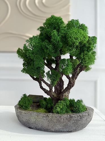 Декоративные цветы: Цены от 2500 сом( указаны на фото) В наличии и на заказ (3-7 дней) Все — 11