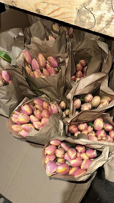 Букеты из живых цветов: Тюльпаны в крафтовой упаковке — сборные букеты из свежесрезанных — 10
