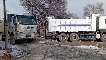 Грузовики: Грузовик, Стандарт — 13