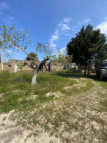 bagi: 3 sot, Tikinti, Kupça (Çıxarış) — 1