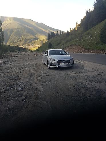 byd han: Hyundai Sonata: 2019 г., Седан — 4