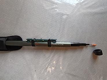 beluga balığı: 🎣 Caperlan LAKESIDE 500 QLF – teleskopik balıqçı qamışı Fransız brendi — 10