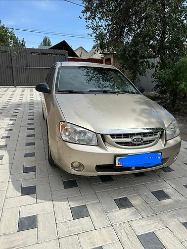 двери на киа рио: Kia Cerato: 2006 г., Автомат, Седан — 1
