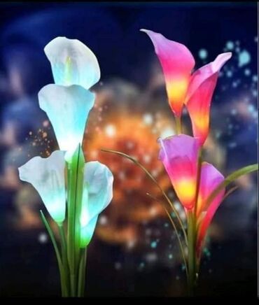 Rasveta: Solarne lale Solarno drvce Silarni ljiljan Solarne ruze Cena za 2kom — 12