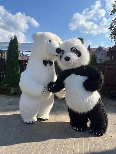 цепи чыгжыр: Чоң куурчак, Жаныбар, Аюу — 1