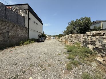 Гаражи: 5 соток, Собственник