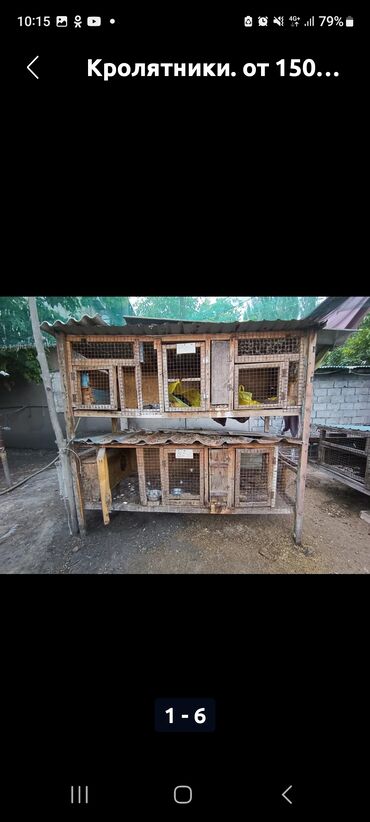 домик для хомяков: Кролятники (многоярусные клетки для кроликов) - Конструкция