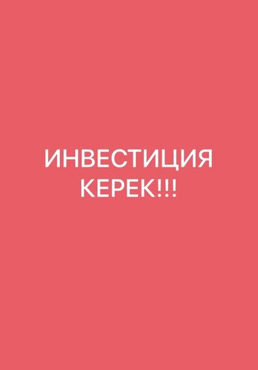 Другой готовый бизнес: Ищу инвестиции. - Цель: привлечение финансовых вложений для бизнеса