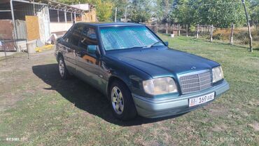 Mercedes-Benz: Mercedes-Benz W124: 1994 г., 2.9 л, Автомат, Дизель, Седан