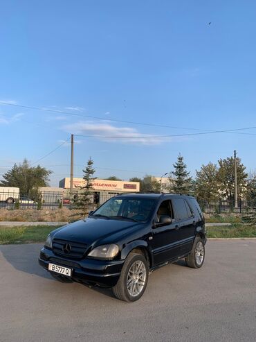 полировочный машина: Mercedes-Benz M-Class: 1999 г., 4.3 л, Автомат, Бензин, Внедорожник