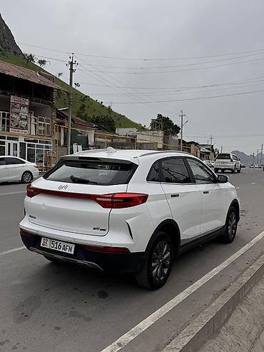 Weltmeister: Weltmeister EX5, 2020 г. — 5