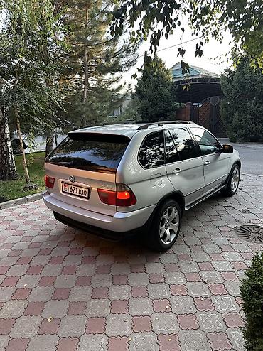 бивайди хан: BMW X5: 2002 г., 3 л, Автомат, Дизель, Внедорожник — 7