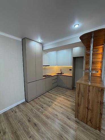 1010: 2 комнаты, 55 м², ул. Горького / Алматинка Элитка, 10 этаж — 3