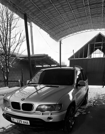 BMW: BMW X5: 2002 г., 3 л, Автомат, Дизель, Внедорожник
