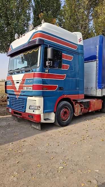 Тягачи: Тягач, DAF, 2004 г., Тентованный — 9