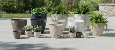 CD, DVD disklər və kassetlər: Dibcek Dibcek qabi yumru aq rengli gul.qabi yumru aq rengli dibcek — 1