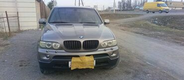 BMW: BMW X5: 2004 г., 3 л, Автомат, Дизель, Внедорожник