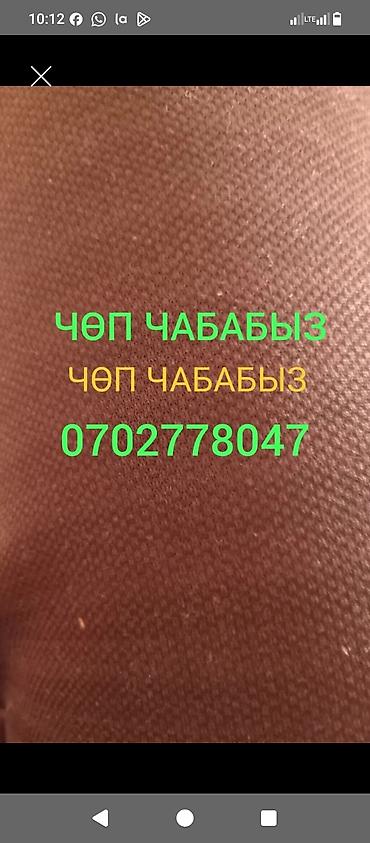 мойка килем: Уборка территории, Стрижка газона — 1