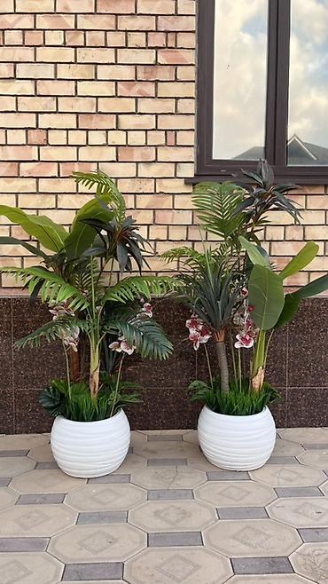 солнечные лампы: Instagram:Mayram.decor.kg Искусственные растения в кашпо для дома — 10