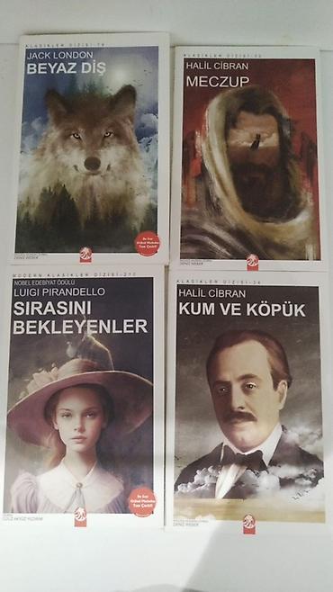 Bədii ədəbiyyat: Klassik və modern ədəbiyyatdan seçmə 16 kitabdan ibarətdir, tək-tək və — 3