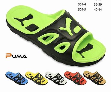 Səndəl və şəp-şüplər: Hər qutuda 24 ədəd, müxtəlif rəng və ölçülərdə terliklərin topdan — 6